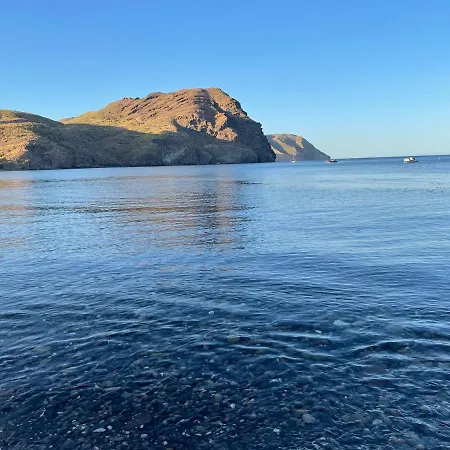 Congrio10, Negras Lejlighed *